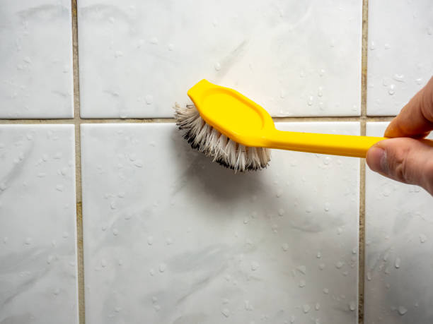 Best Mold Remediation for Specific Building Types in Diamondhead, MS