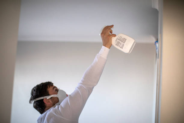 Best Bathroom Mold Remediation in Diamondhead, MS
